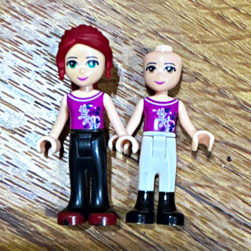 Lego friends equestrian - lego,